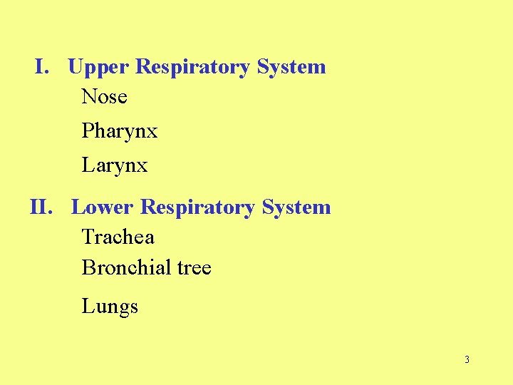 I. Upper Respiratory System Nose Pharynx Larynx II. Lower Respiratory System Trachea Bronchial tree