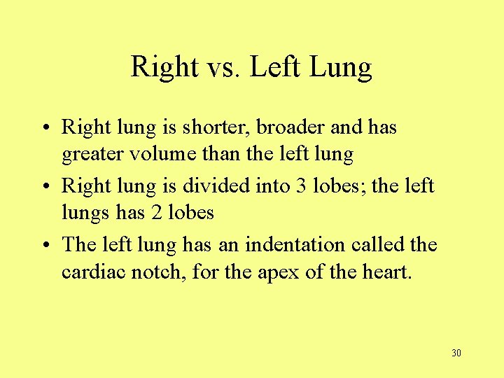Right vs. Left Lung • Right lung is shorter, broader and has greater volume