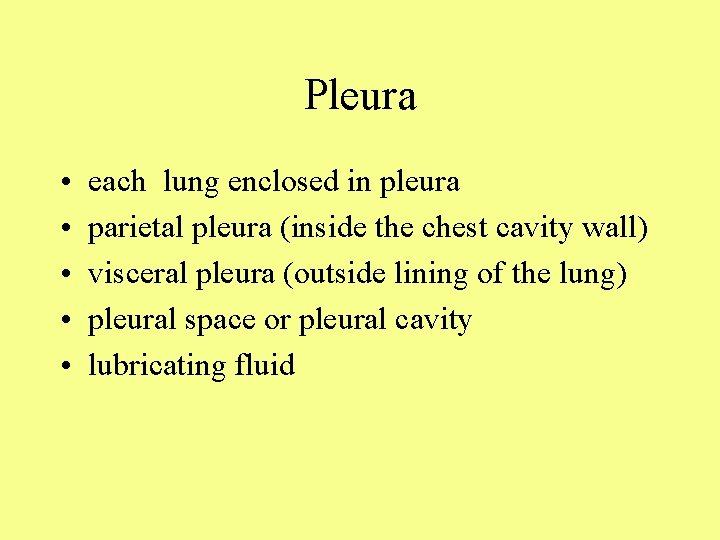 Pleura • • • each lung enclosed in pleura parietal pleura (inside the chest