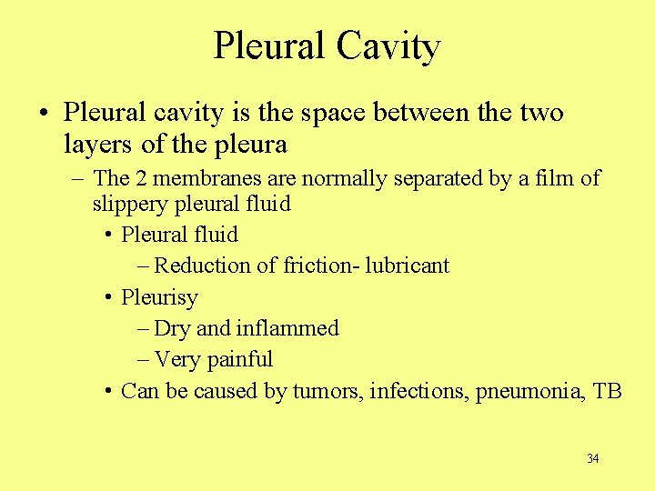 Pleural Cavity • Pleural cavity is the space between the two layers of the