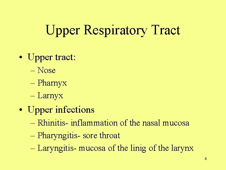 Upper Respiratory Tract • Upper tract: – Nose – Pharnyx – Larnyx • Upper