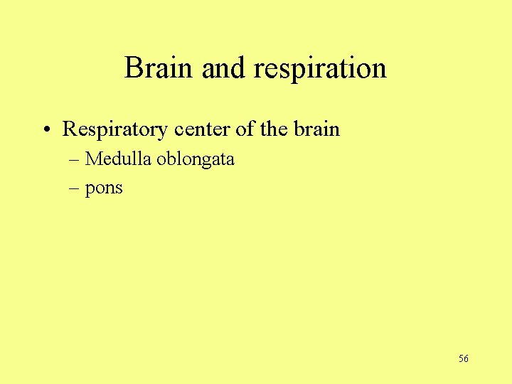 Brain and respiration • Respiratory center of the brain – Medulla oblongata – pons