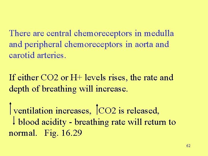 There are central chemoreceptors in medulla and peripheral chemoreceptors in aorta and carotid arteries.