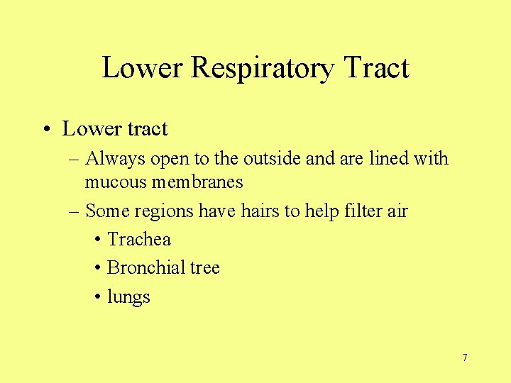Lower Respiratory Tract • Lower tract – Always open to the outside and are