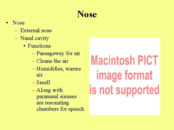 Nose • Nose – External nose – Nasal cavity • Functions – Passageway for