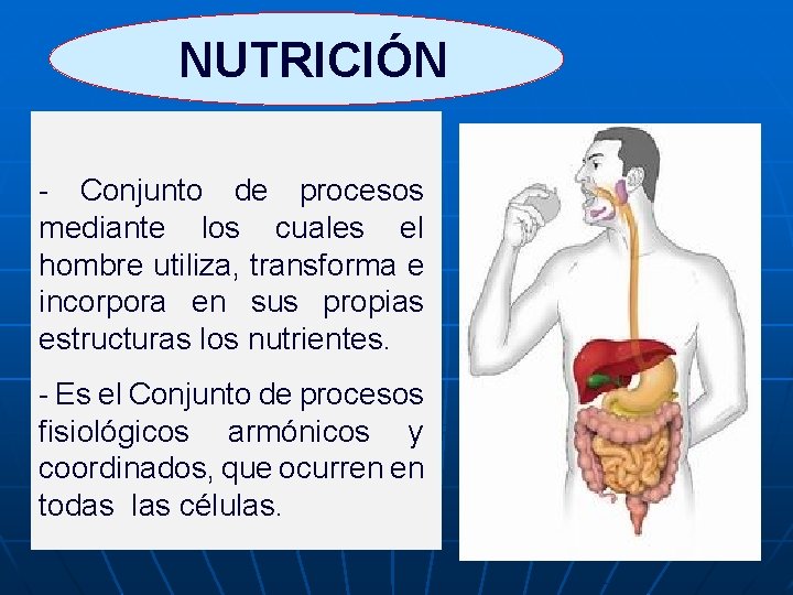  NUTRICIÓN - Conjunto de procesos mediante los cuales el hombre utiliza, transforma e