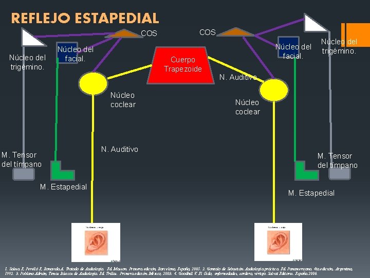 REFLEJO ESTAPEDIAL COS Núcleo del trigémino. Núcleo del facial. Cuerpo Trapezoide Núcleo coclear M. REFLEJO ESTAPEDIAL COS Núcleo del trigémino. Núcleo del facial. Cuerpo Trapezoide Núcleo coclear M.
