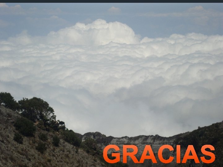 GRACIAS GRACIAS