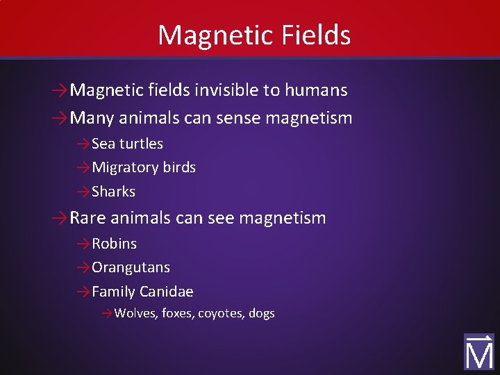 Magnetic Fields → Magnetic fields invisible to humans → Many animals can sense magnetism