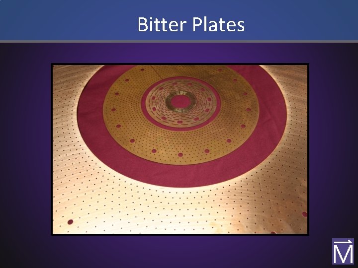 Bitter Plates 