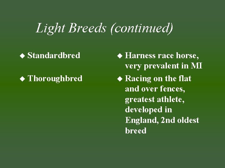 Light Breeds (continued) u Standardbred u Thoroughbred u Harness race horse, very prevalent in