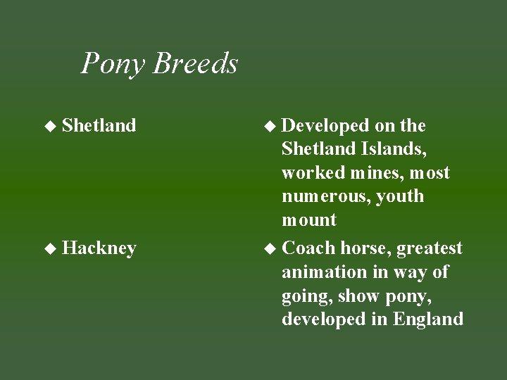 Pony Breeds u Shetland u Hackney u Developed on the Shetland Islands, worked mines,