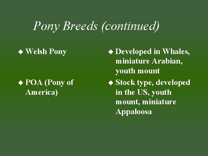 Pony Breeds (continued) u Welsh u POA Pony (Pony of America) u Developed in