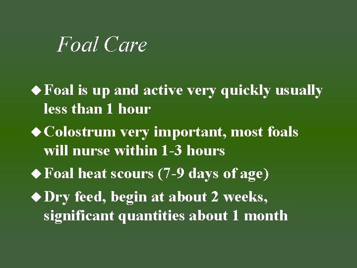Foal Care u Foal is up and active very quickly usually less than 1