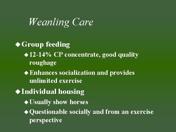 Weanling Care u Group feeding u 12 -14% CP concentrate, good quality roughage u