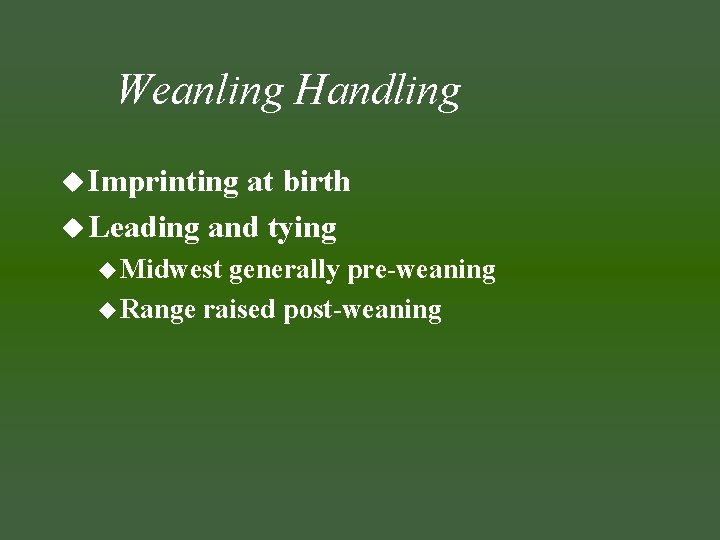 Weanling Handling u Imprinting at birth u Leading and tying u Midwest generally pre-weaning