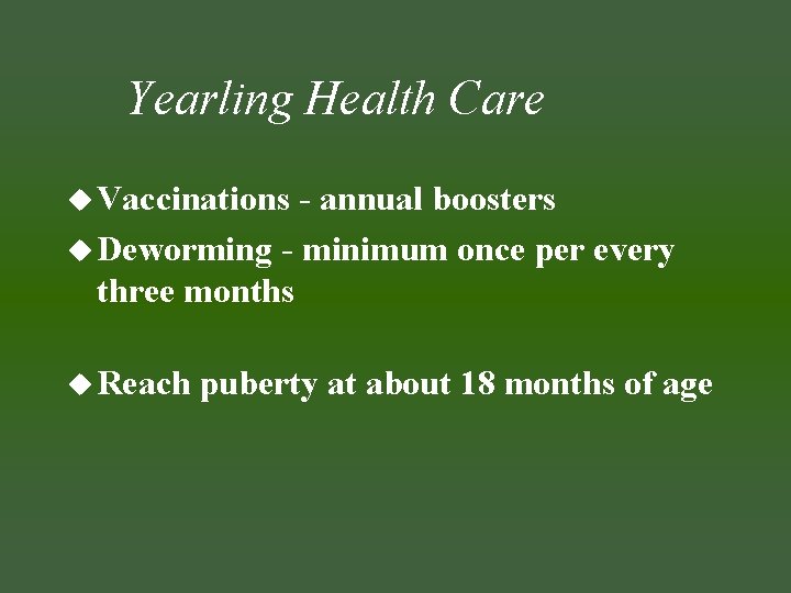 Yearling Health Care u Vaccinations - annual boosters u Deworming - minimum once per