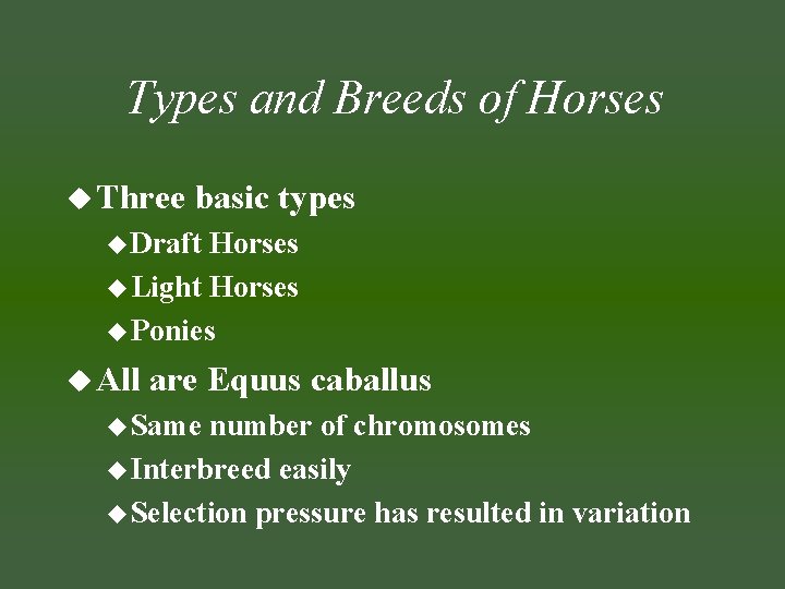 Types and Breeds of Horses u Three basic types u Draft Horses u Light
