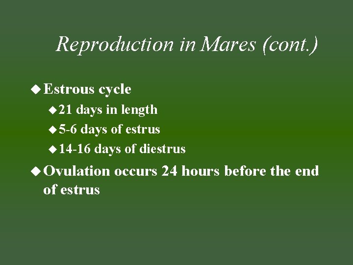 Reproduction in Mares (cont. ) u Estrous cycle u 21 days in length u