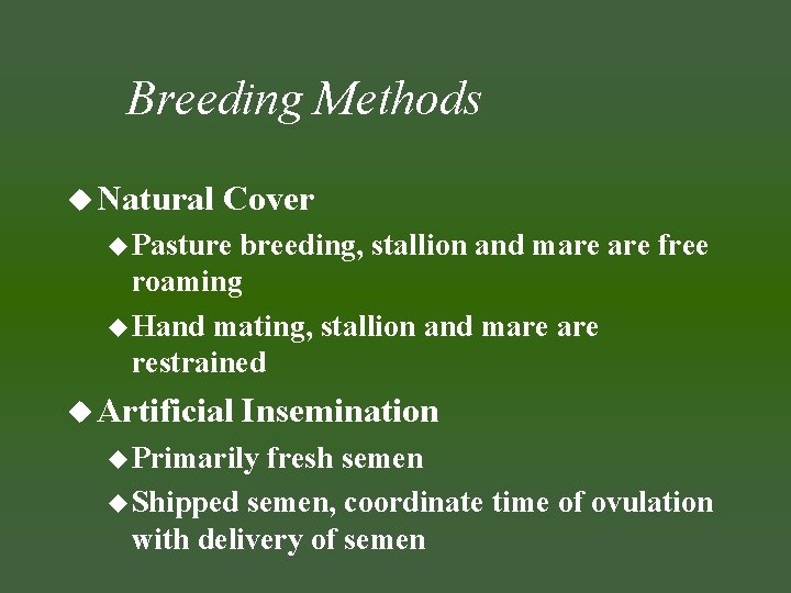 Breeding Methods u Natural Cover u Pasture breeding, stallion and mare free roaming u