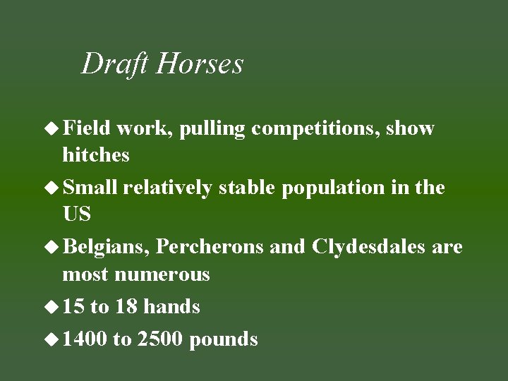 Draft Horses u Field work, pulling competitions, show hitches u Small relatively stable population