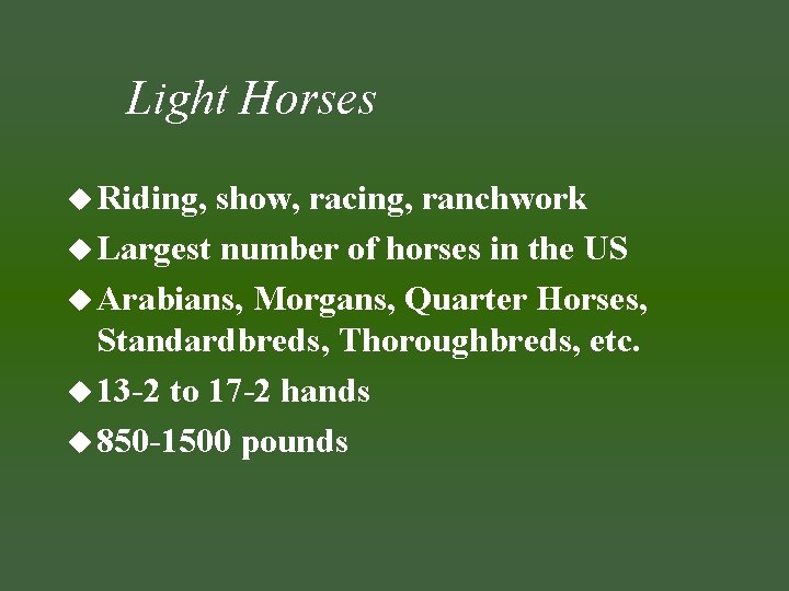 Light Horses u Riding, show, racing, ranchwork u Largest number of horses in the