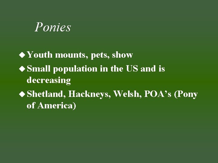 Ponies u Youth mounts, pets, show u Small population in the US and is