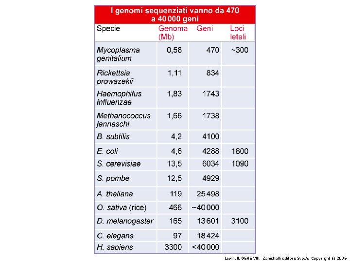 Lewin, IL GENE VIII, Zanichelli editore S. p. A. Copyright © 2006 