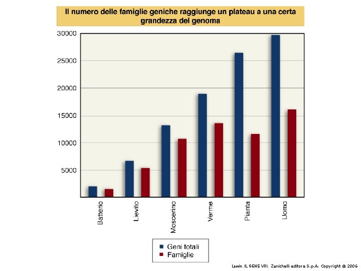 Lewin, IL GENE VIII, Zanichelli editore S. p. A. Copyright © 2006 