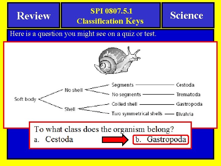 Review SPI 0807. 5. 1 Classification Keys Here is a question you might see