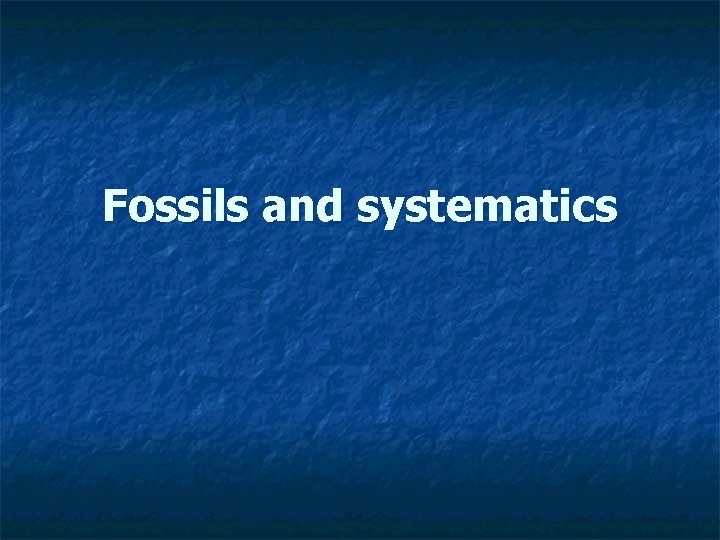 Fossils and systematics 