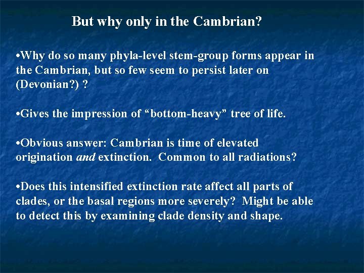 But why only in the Cambrian? • Why do so many phyla-level stem-group forms