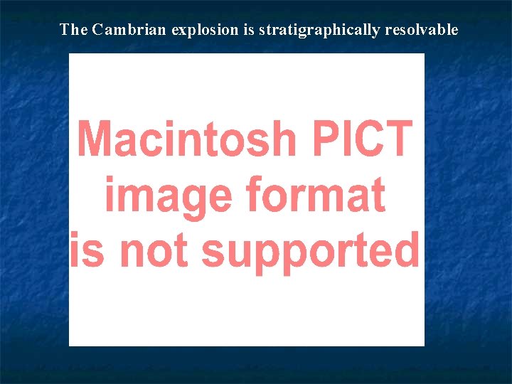 The Cambrian explosion is stratigraphically resolvable 