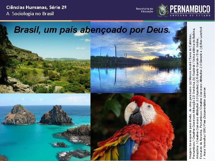 Brasil, um país abençoado por Deus. Imagens da esquerda para direita , de cima