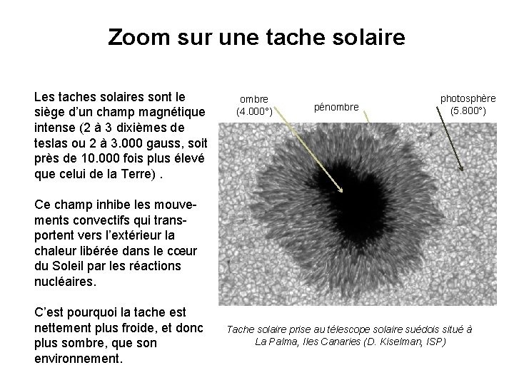 Zoom sur une tache solaire Les taches solaires sont le siège d’un champ magnétique