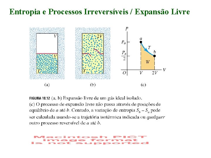 Entropia e Processos Irreversíveis / Expansão Livre 