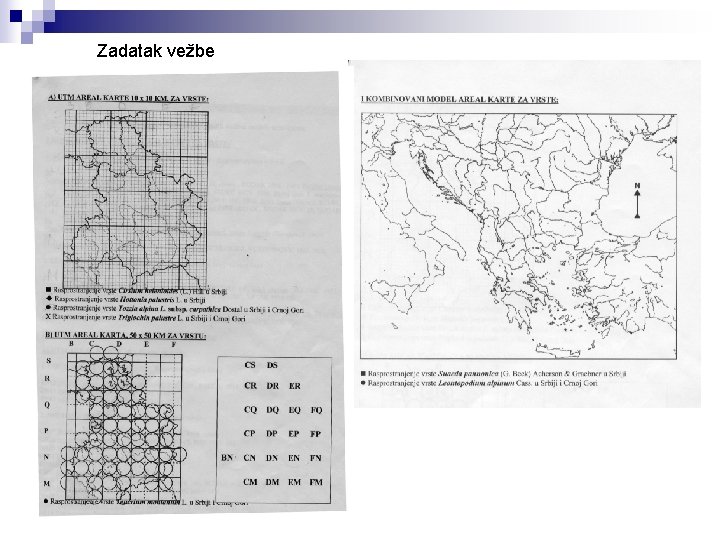 Zadatak vežbe 