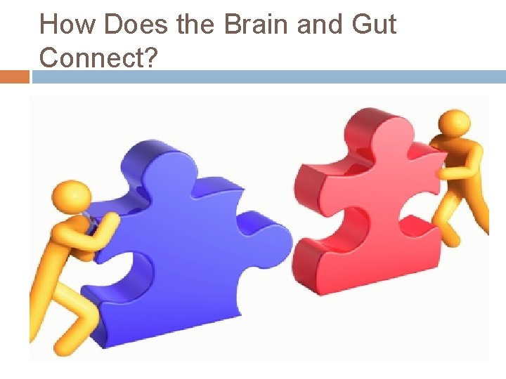 How Does the Brain and Gut Connect? 