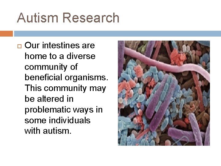 Autism Research Our intestines are home to a diverse community of beneficial organisms. This