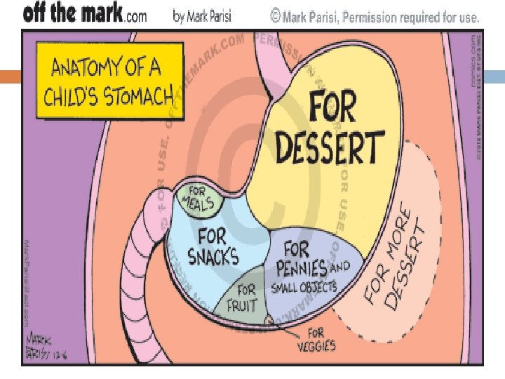 Gut’s nervous system 