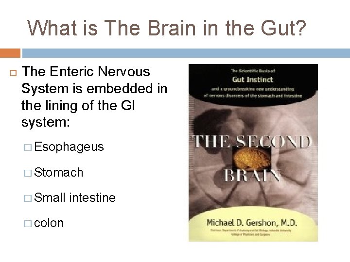 What is The Brain in the Gut? The Enteric Nervous System is embedded in
