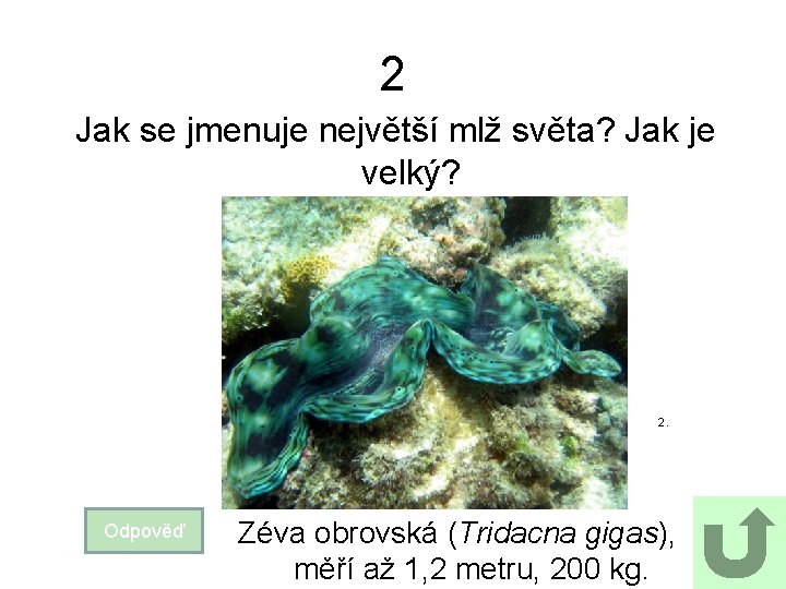 2 Jak se jmenuje největší mlž světa? Jak je velký? 2. Odpověď Zéva obrovská