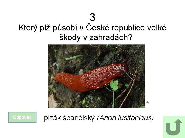 3 Který plž působí v České republice velké škody v zahradách? 3. Odpověď plzák