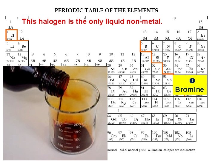 This halogen is the only liquid non-metal. Bromine 