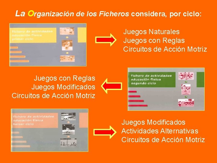 La Organización de los Ficheros considera, por ciclo: Juegos Naturales Juegos con Reglas Circuitos