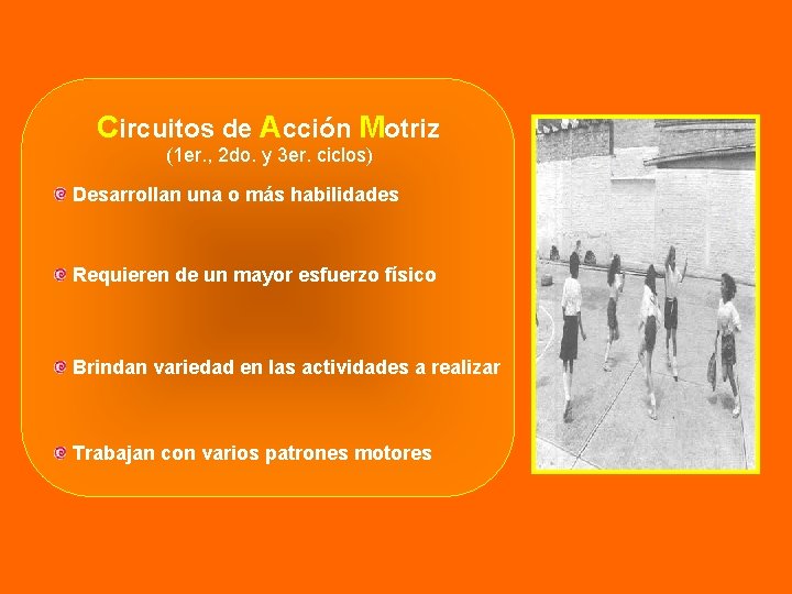 Circuitos de Acción Motriz (1 er. , 2 do. y 3 er. ciclos) Desarrollan