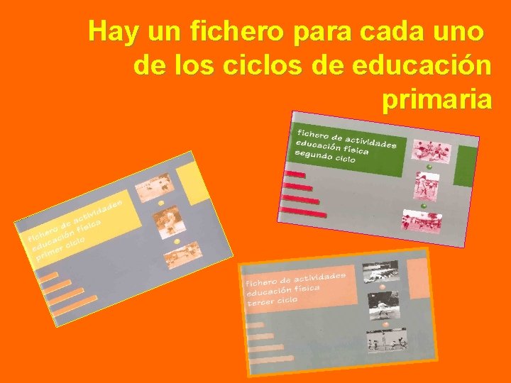 Hay un fichero para cada uno de los ciclos de educación primaria 