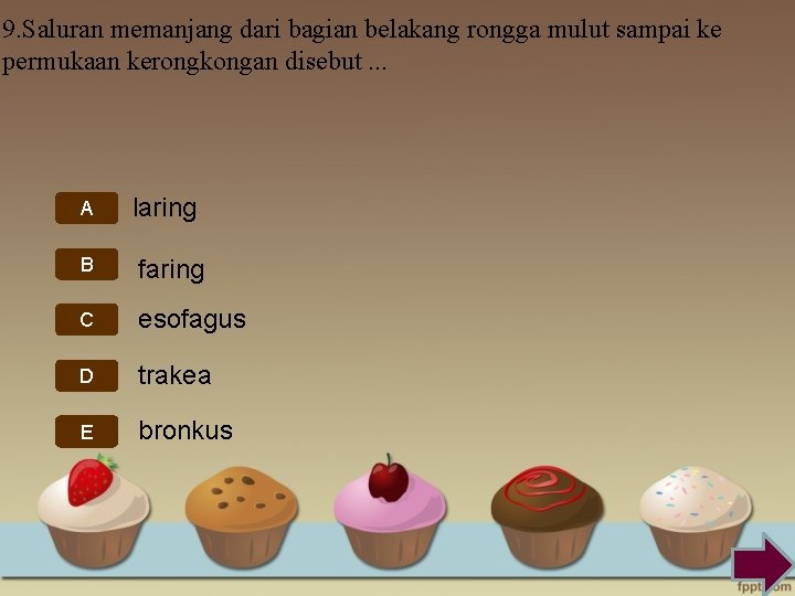 9. Saluran memanjang dari bagian belakang rongga mulut sampai ke permukaan kerongkongan disebut. .