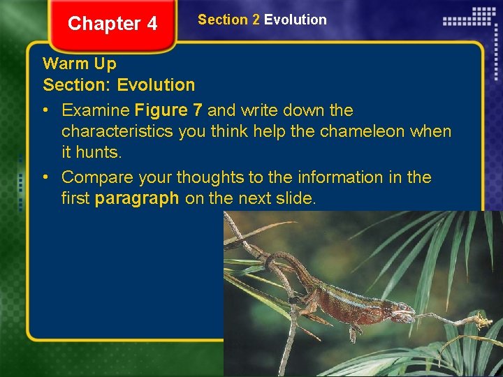 Chapter 4 Section 2 Evolution Warm Up Section: Evolution • Examine Figure 7 and