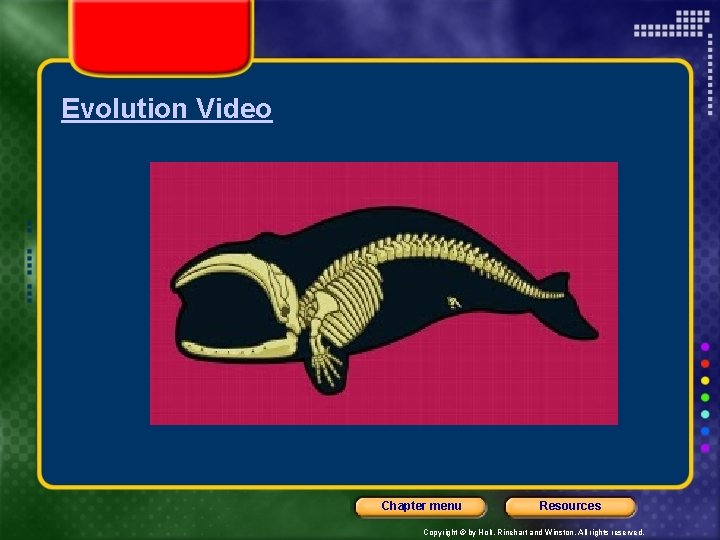 Evolution Video Chapter menu Resources Copyright © by Holt, Rinehart and Winston. All rights